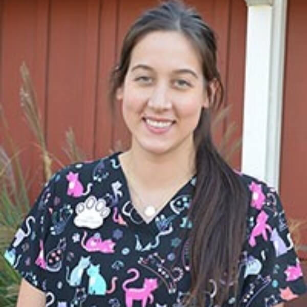 chico creek animal hospital - alexandra