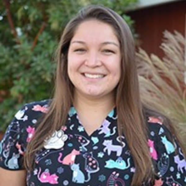 chico creek animal hospital - neilsa