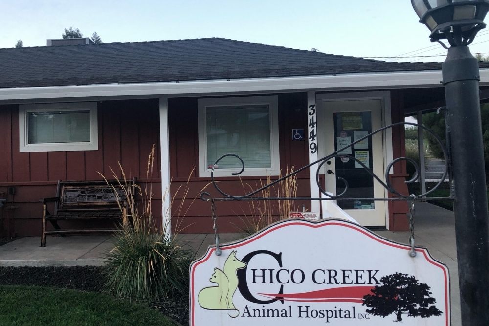 Chico Creek Animal Hospital