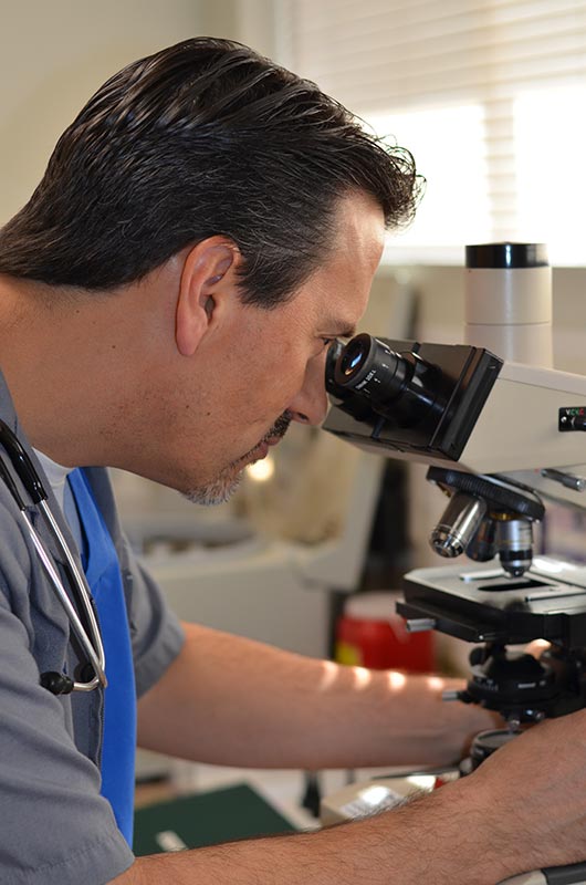 dr. matthew bettencourt looking through microscope