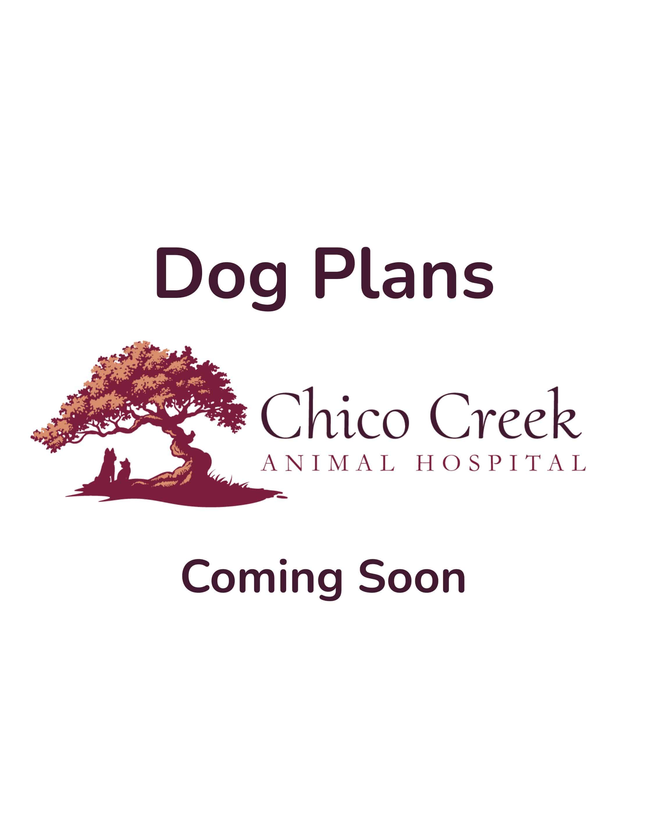 Coming soon placeholder