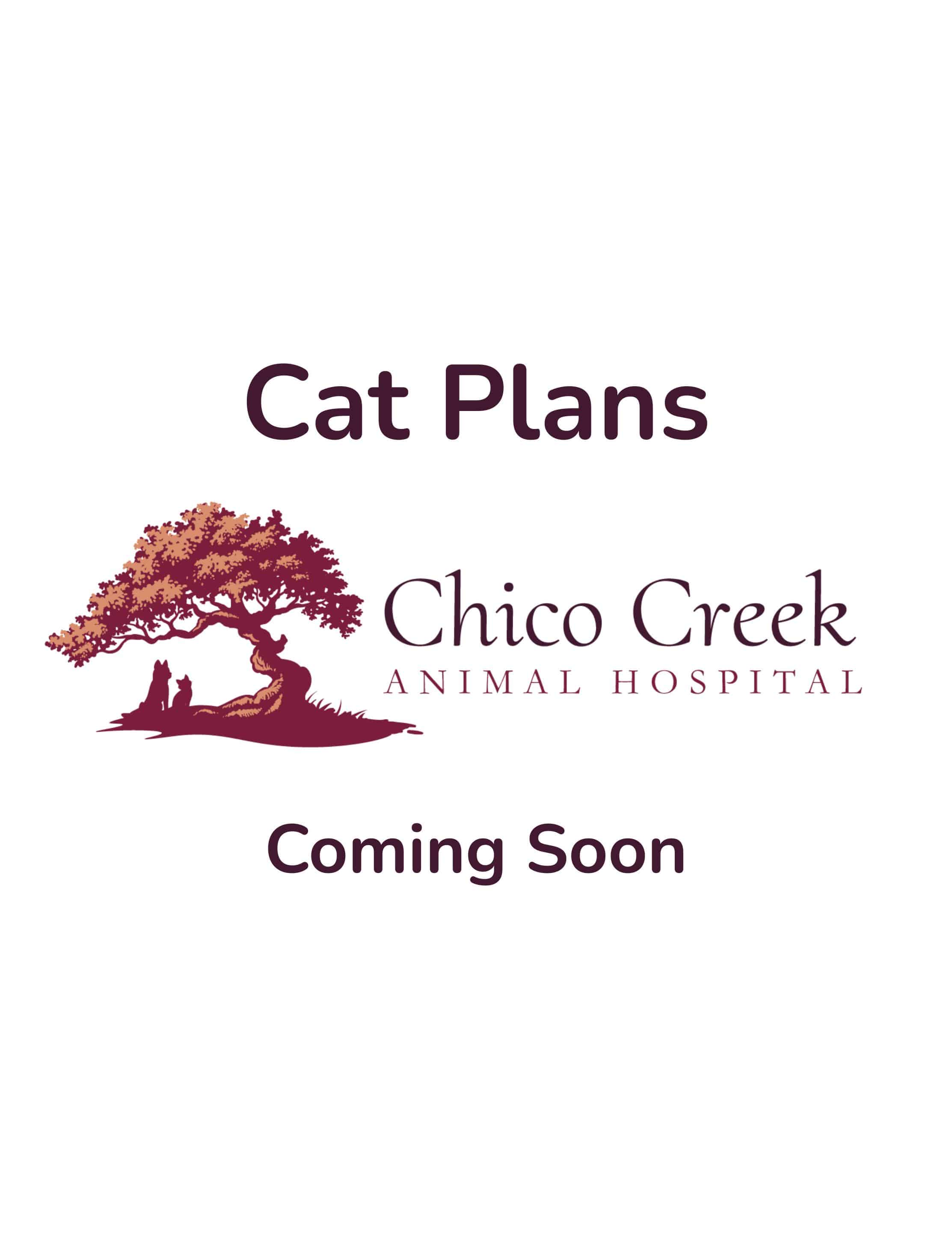 Coming soon placeholder