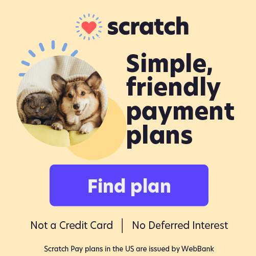 Scratch-Pay-consumer-link-Veterinary-250x250@2x A cute cat